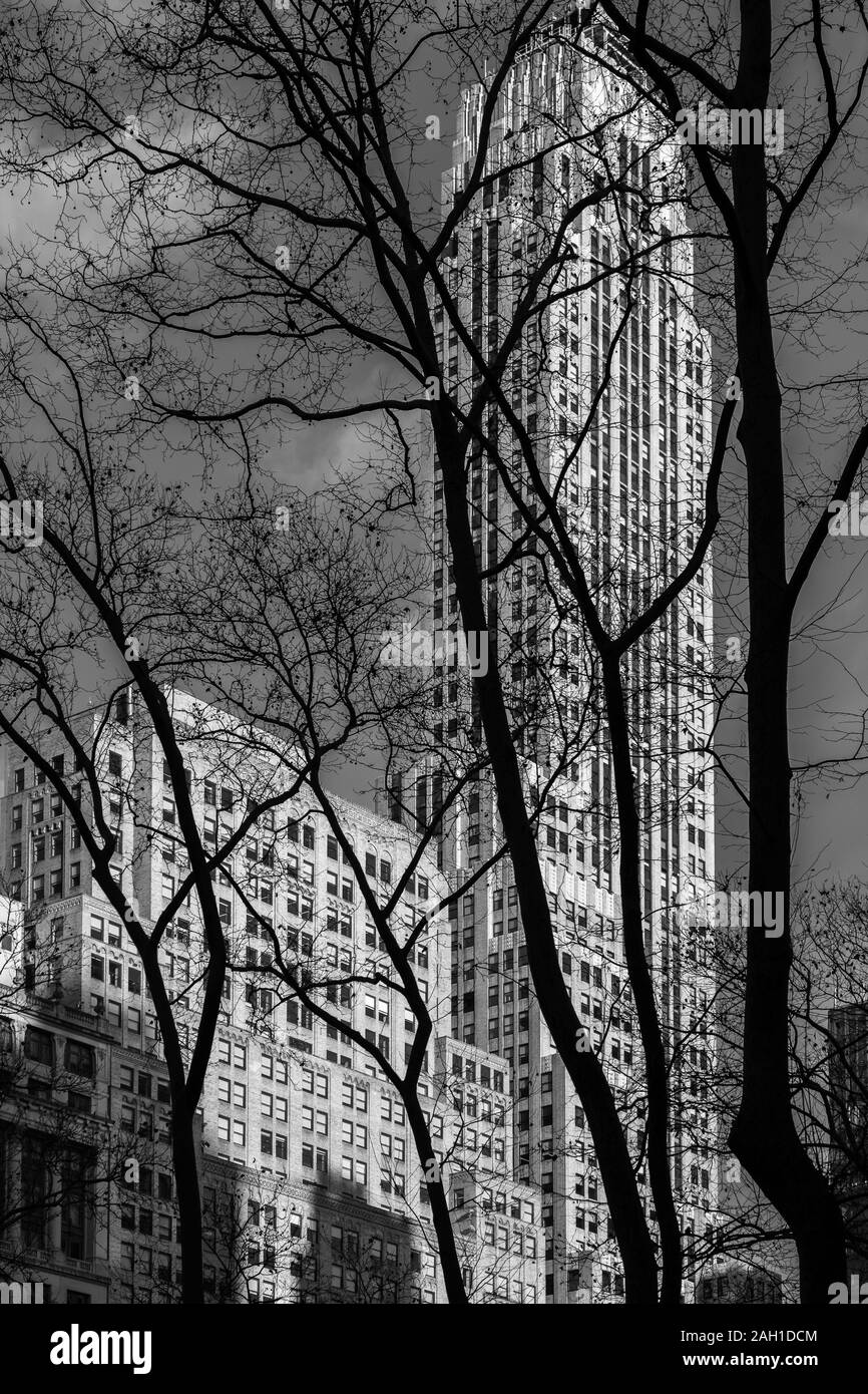 New York City - USA - 26.Dezember 2018: Silhouette Blick auf die Bäume auf die Fassade Fragment von 500 Fifth Avenue Art déco-Gebäude im Bryant Park Manhattan Stockfoto