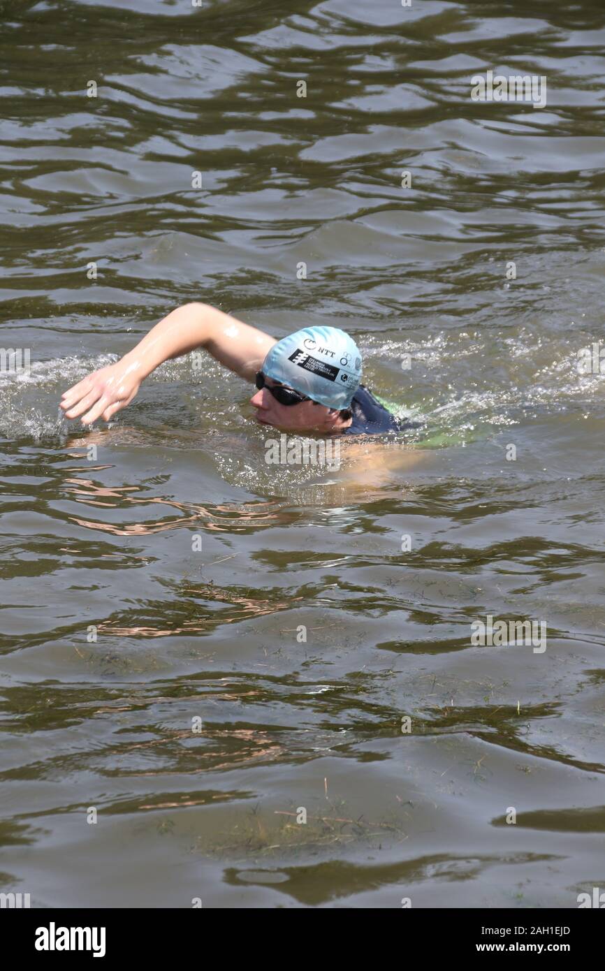 Ein Schwimmer schwimmen Freistil Stockfoto