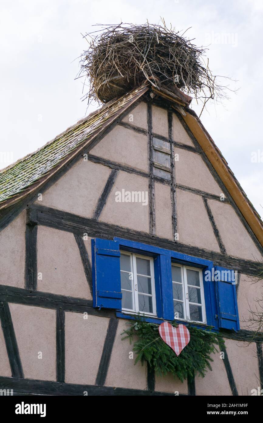 Ein Storchennest auf dem Dach Giebel eines traditionellen Holz- Fachwerkhaus im Elsass Stockfoto