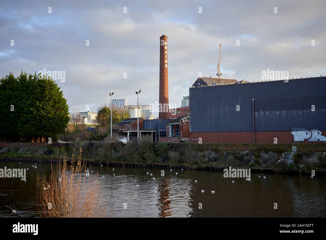 Die alte Gehirne Brauereigelände, Cardiff, South Wales Stockfoto