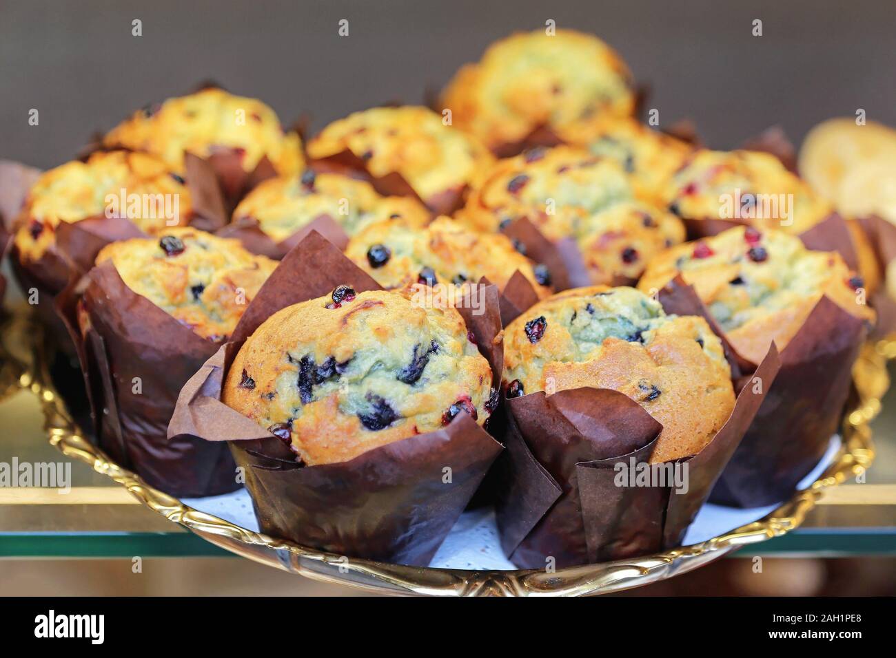 Blueberry Muffins Cupcakes in Papier in Fach Stockfoto