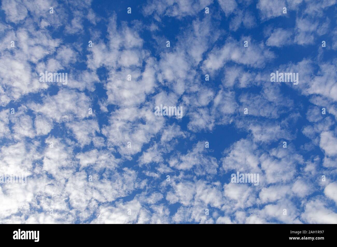 Sie suchen den Weißen geschwollene Wolken im blauen Himmel zu sehen Stockfoto