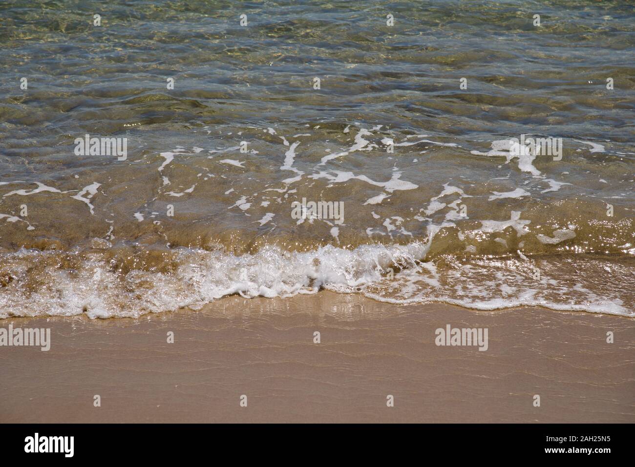 Italien, 08. Mai 2019: Strand von der Oase von Vendicari in Sizilien Provinz Syrakus, Naturschutzgebiet. Stockfoto