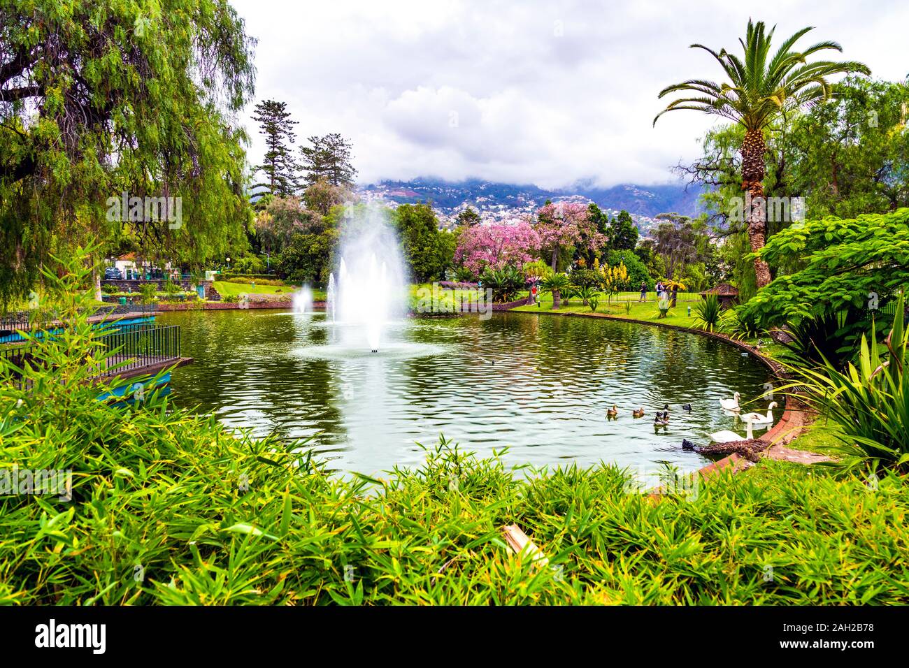 Teich und Brunnen im Parque de Santa Catarina (Santa Catarina Park) Funchal, Madeira, Portugal Stockfoto