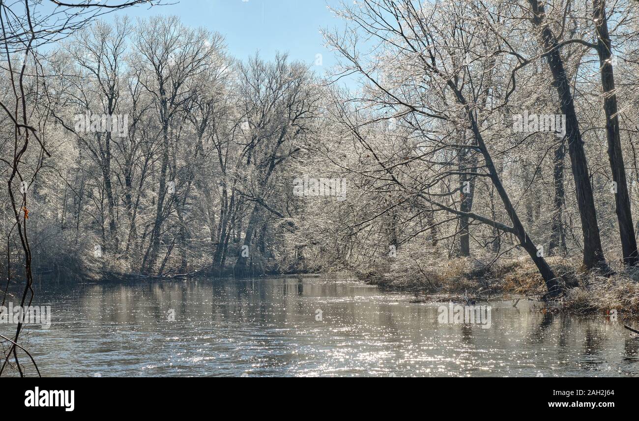 Eiskristalle schmücken die Bäume am Ufer der Saugatuck Fluss in Connecticut Stockfoto