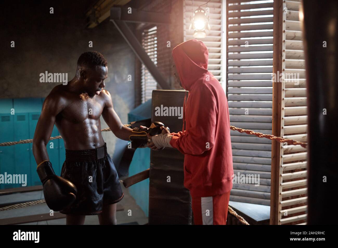 Afrikanische muskulöse Sportler stehen auf Boxring, während sein Trainer Boxhandschuh auf seinen Händen Stockfoto