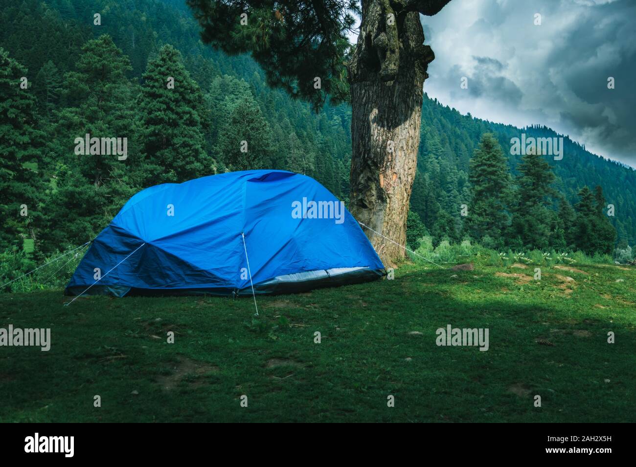 Eine Person Einschalten der Gas Food in der Nähe sein Zelt auf einem Campingplatz in Pahalgam in Kaschmir zu kochen Stockfoto