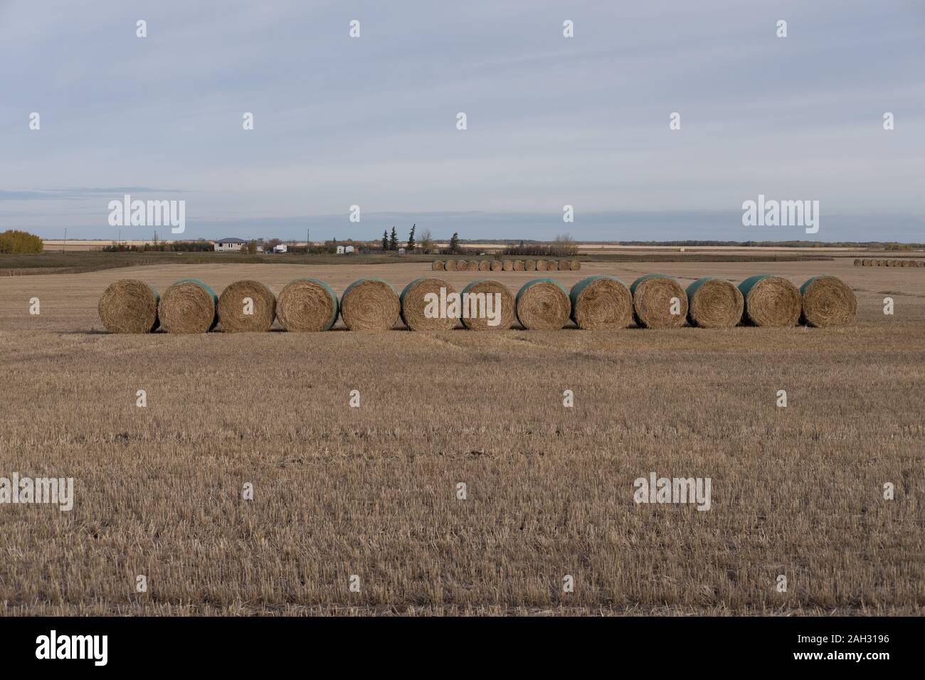 Rundballen, Prairie Hintergrund Stockfoto