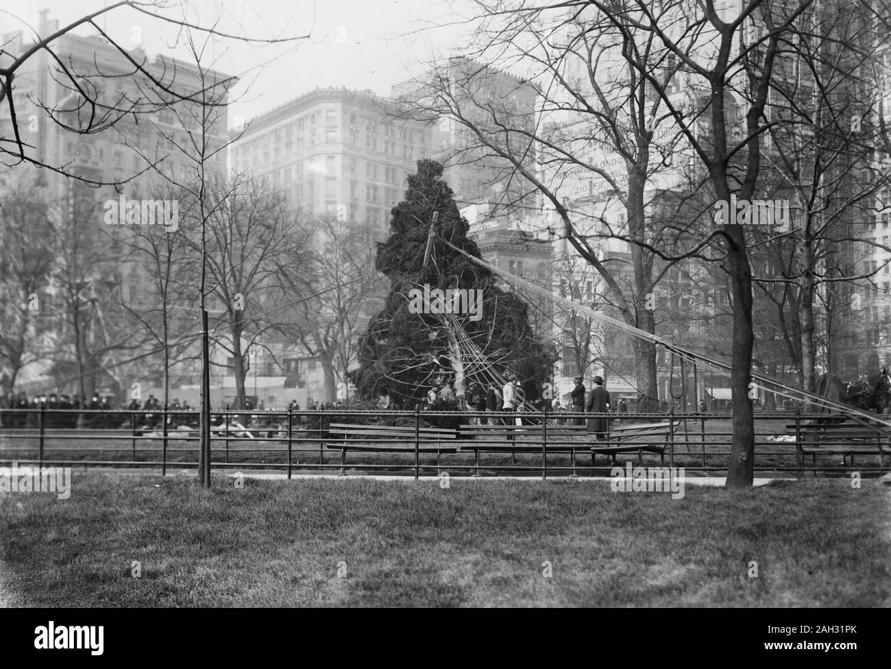 Madison Square Weihnachtsbaum Ca. 1913 Stockfoto