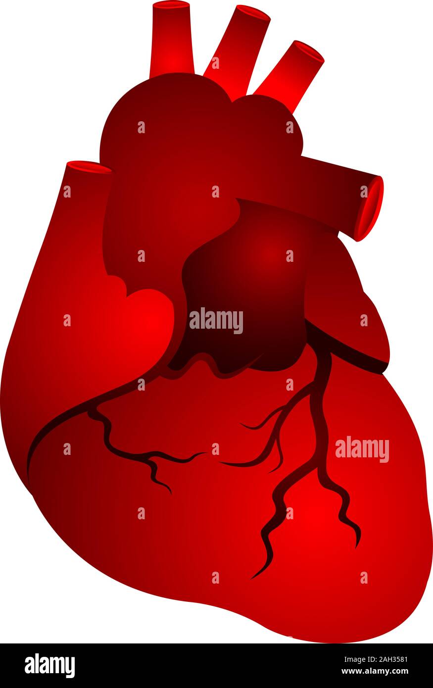 rotes Herzform Stockfoto