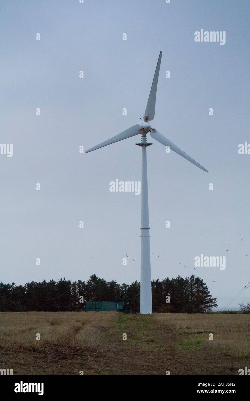 Kleine Windenergieanlage auf einem Bauernhof in Easter Ross Schottland Großbritannien Stockfoto