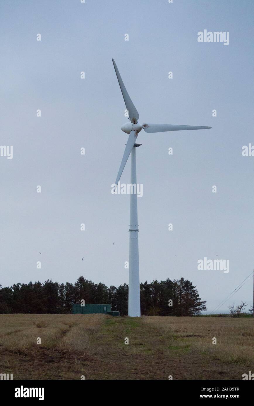 Kleine Windenergieanlage auf einem Bauernhof in Easter Ross Schottland Großbritannien Stockfoto