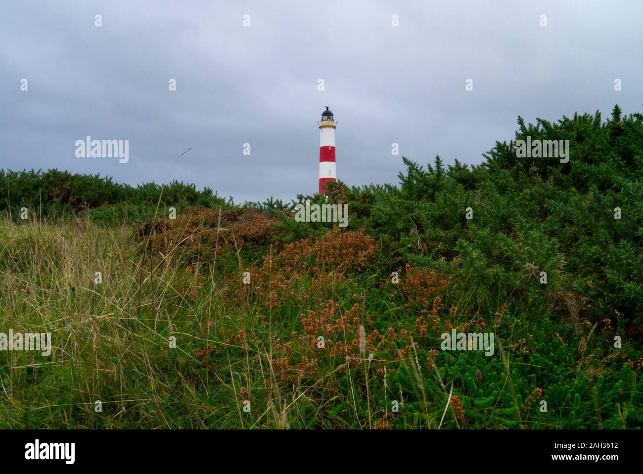 Tarbat Ness Leuchtturm Ostern Ross Schottland Großbritannien Stockfoto