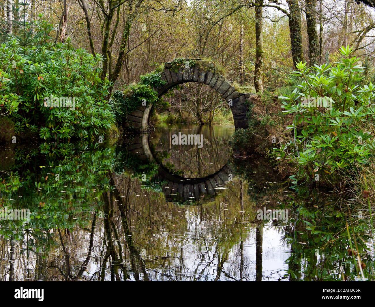 Schloss in Richtung Stockfoto