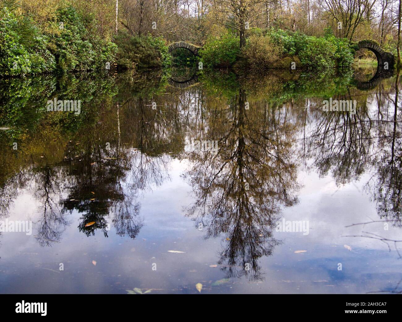 Schloss in Richtung Stockfoto