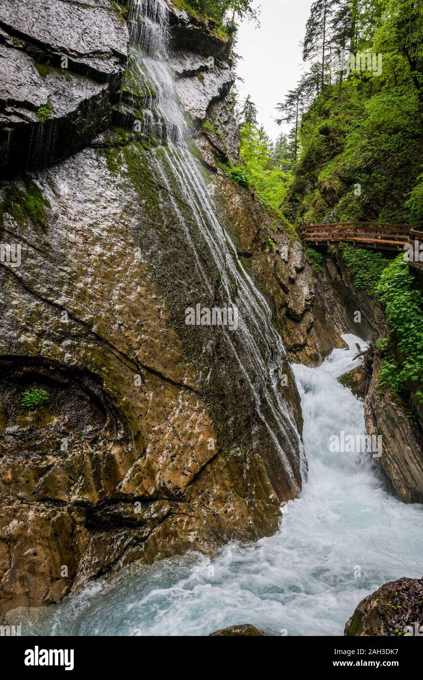 Viele Wasserfälle in der Wimbacklamm in Bayern Berchtesgaden mit Steine und grünen Pflanzen und Bäume Stockfoto