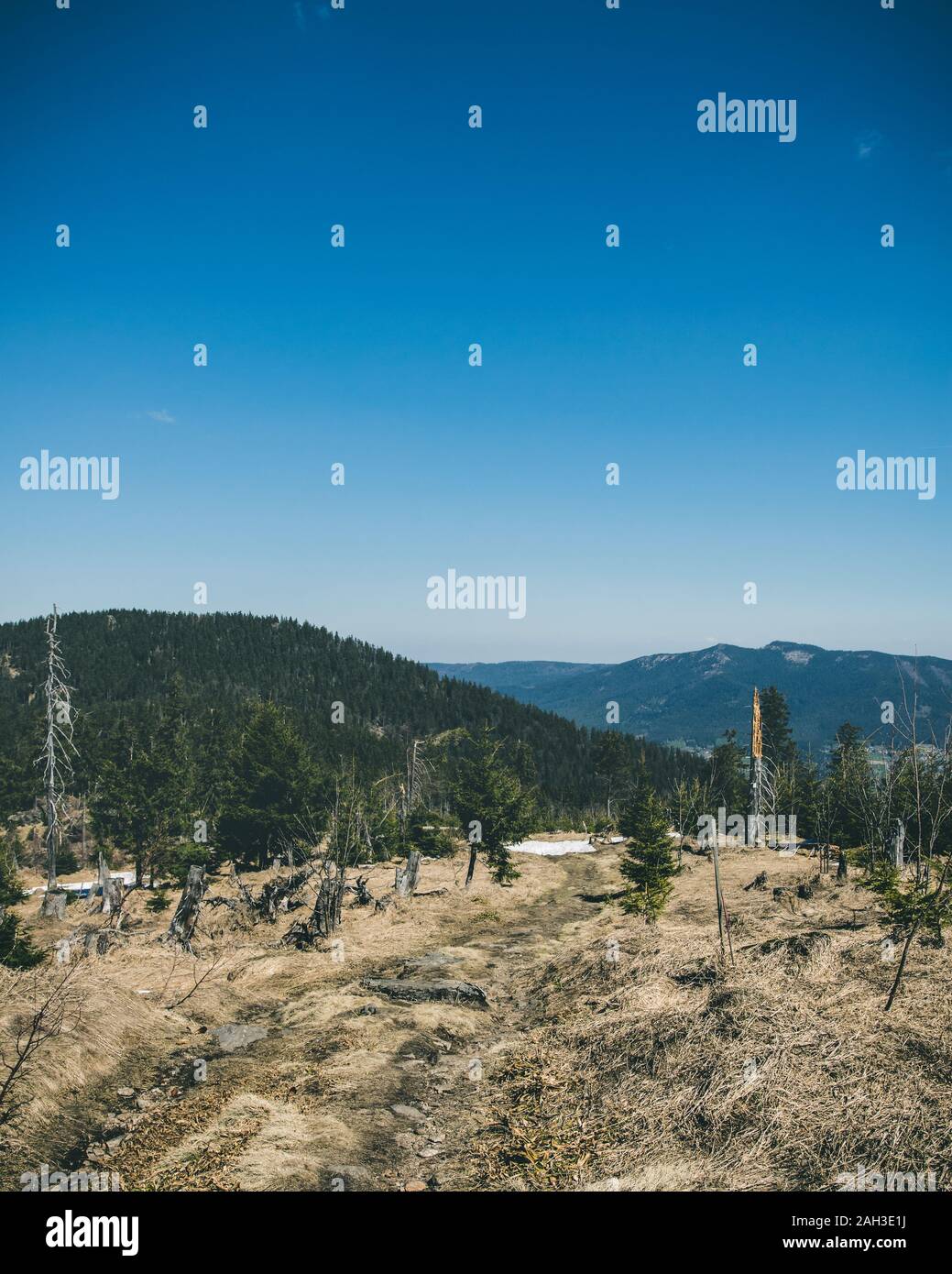 Blick vom Berg ins Tal mit Wolken im blauen Himmel und schönen grünen Bäumen und viele Felsen Stockfoto