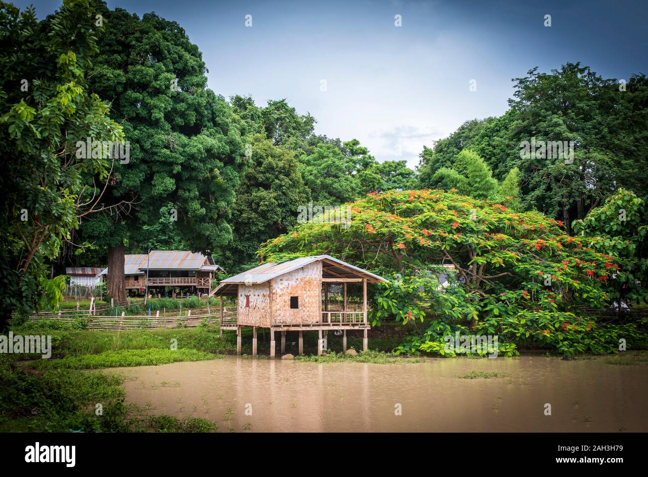 Laongam, Laos, Grüne Erde Zentrum (GEC) Stockfoto