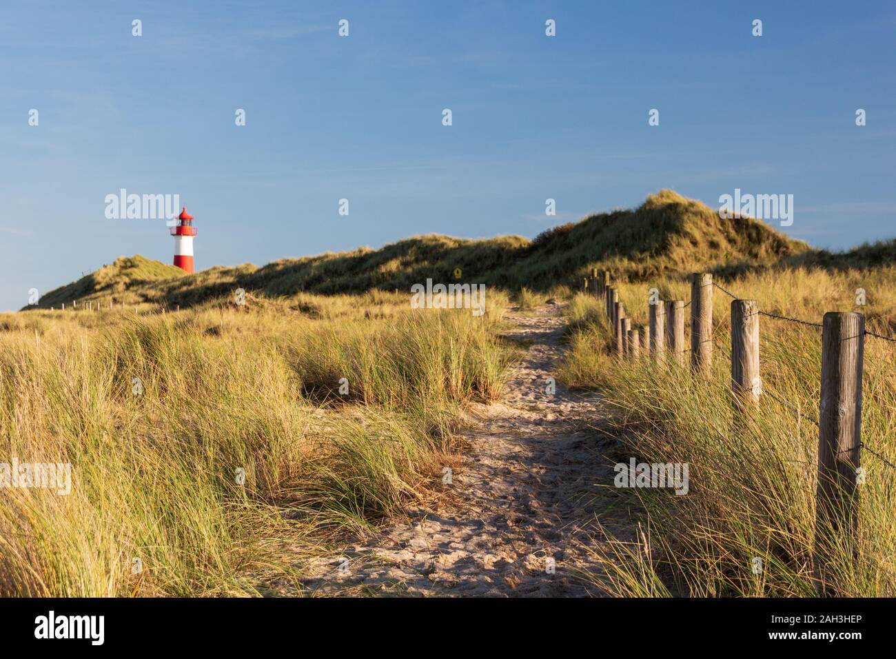 Sandigen Weg durch die Dünen von Sylt zu den Leuchtturm List West Stockfoto