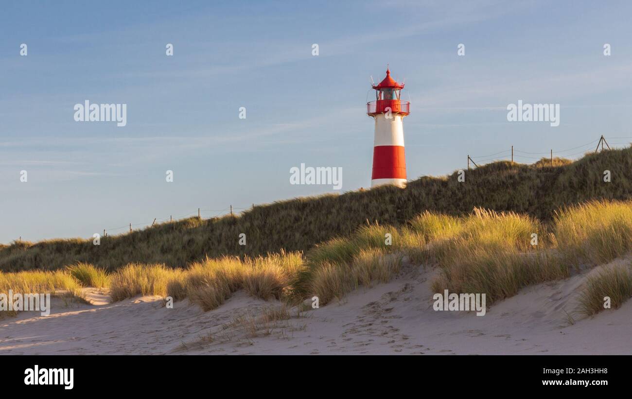 Portrait von Leuchtturm List West an der Insel Sylt mit marram Gras im Vordergrund. Stockfoto