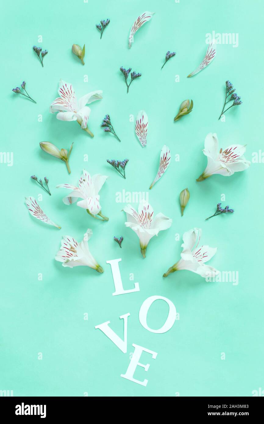 Weiße Blumen und text Liebe auf einem hellgrünen Hintergrund der Ansicht von oben Stockfoto