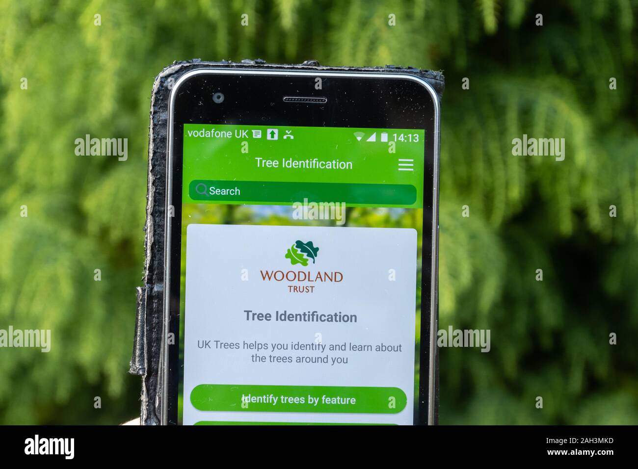 Britische Bäume App mit der Woodland Trust auf einem Mobiltelefon für die Identifizierung der britischen Baumarten Stockfoto