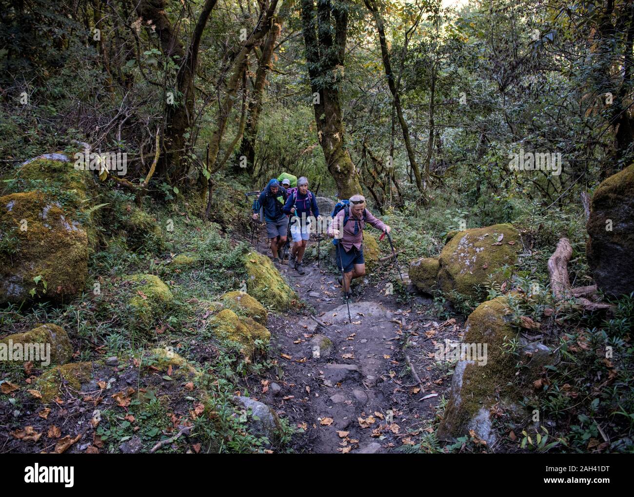 Wandern Gruppe bei Dharapani, Dhaulagiri Circuit Trekking, Himalaya, Nepal Stockfoto