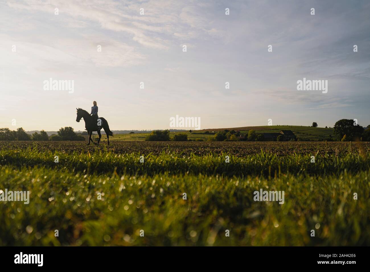 Frau Reiten auf einem Feld in der Landschaft bei Sonnenuntergang Stockfoto