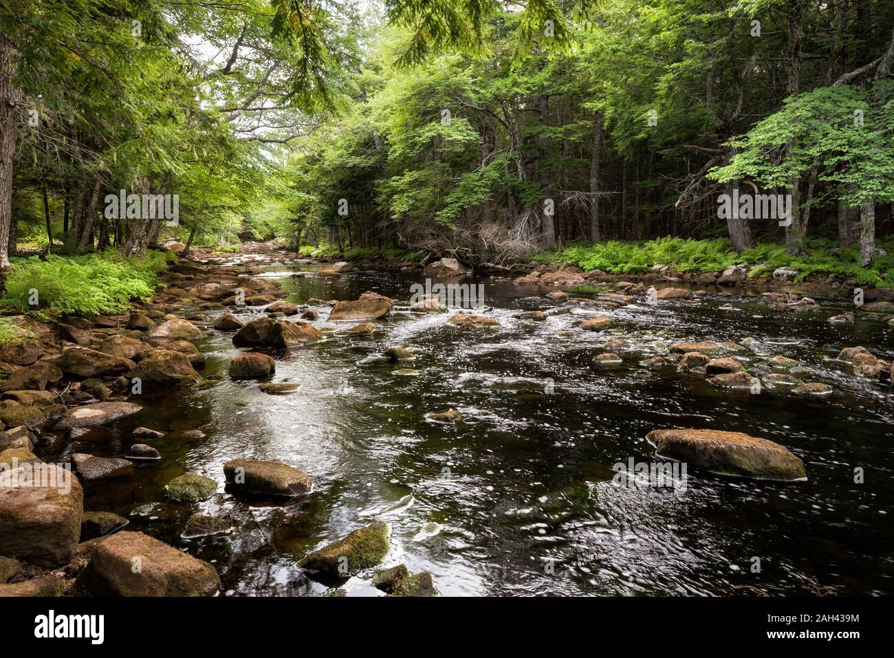 Kanada, Annapolis County, Landschaft mit Mersey River Stockfoto