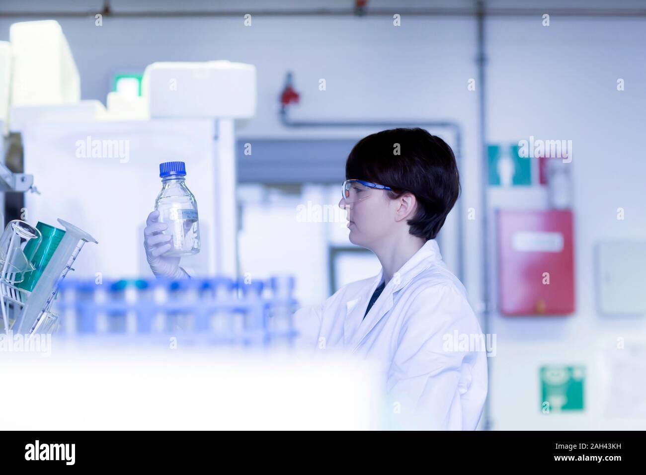 Weibliche Labortechniker in einem Labor arbeiten Stockfoto
