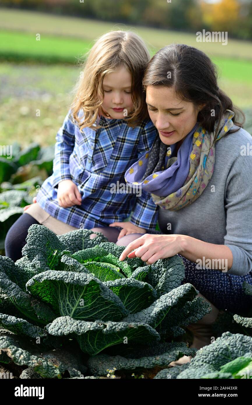 Mutter mit Tochter in einem Savoy Feld Stockfoto