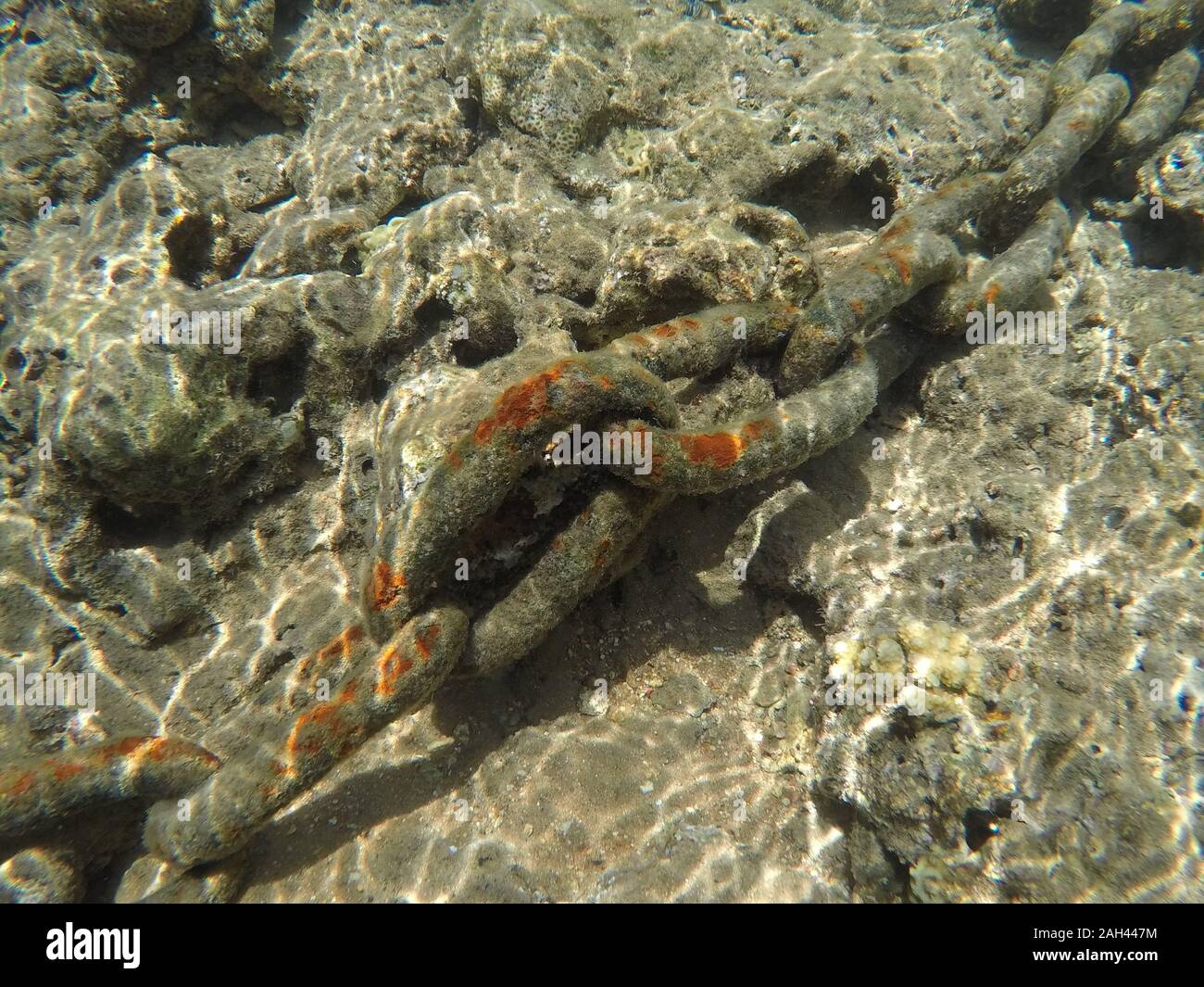 Bügeleisen, Rostige Anker Kette an der Unterseite des Roten Meeres. Ägypten Stockfoto