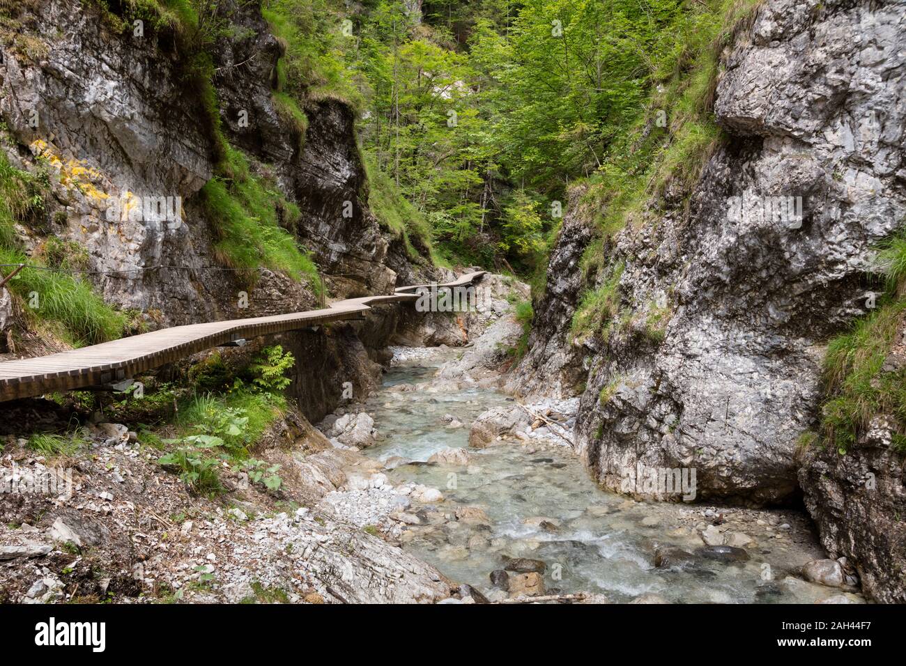 Österreich, Tirol, Erpfendorf, Promenade entlang Stream in Griesbach Schlucht Stockfoto