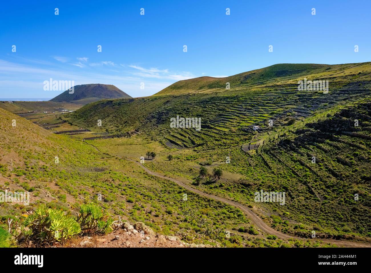 Spanien, Kanarische Inseln, Guinate, Schmutz Straße über grüne Tal mit terrassierten Feldern Stockfoto