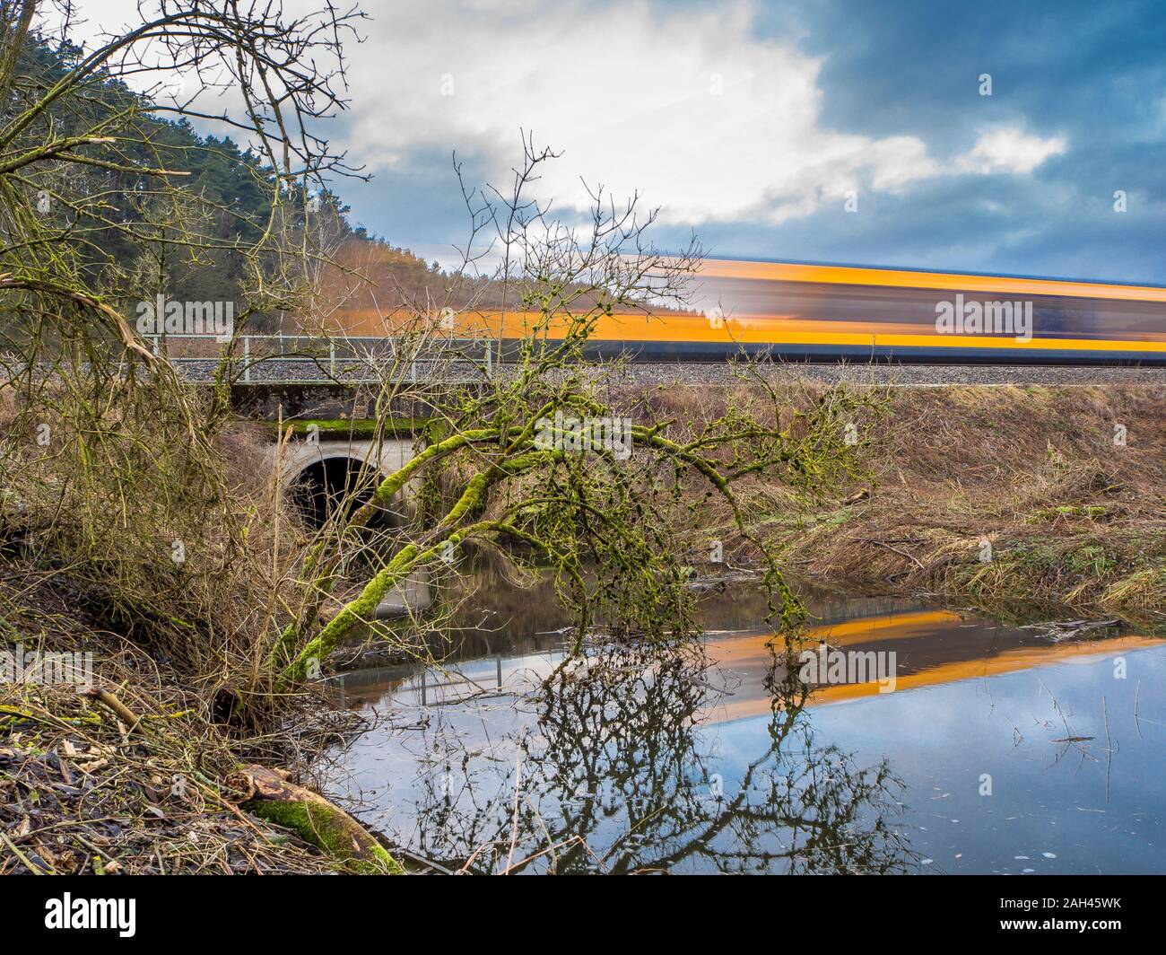 Deutschland, Bayern, Langzeitbelichtung von Zug passiert Teich im Oberpfälzer Wald Stockfoto