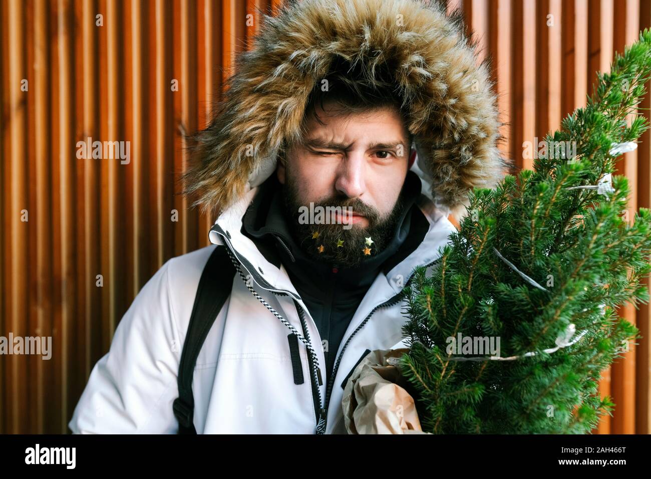 Junger Mann mit Weihnachtsbaum und Goldene Sterne in seinen Bart Stockfoto