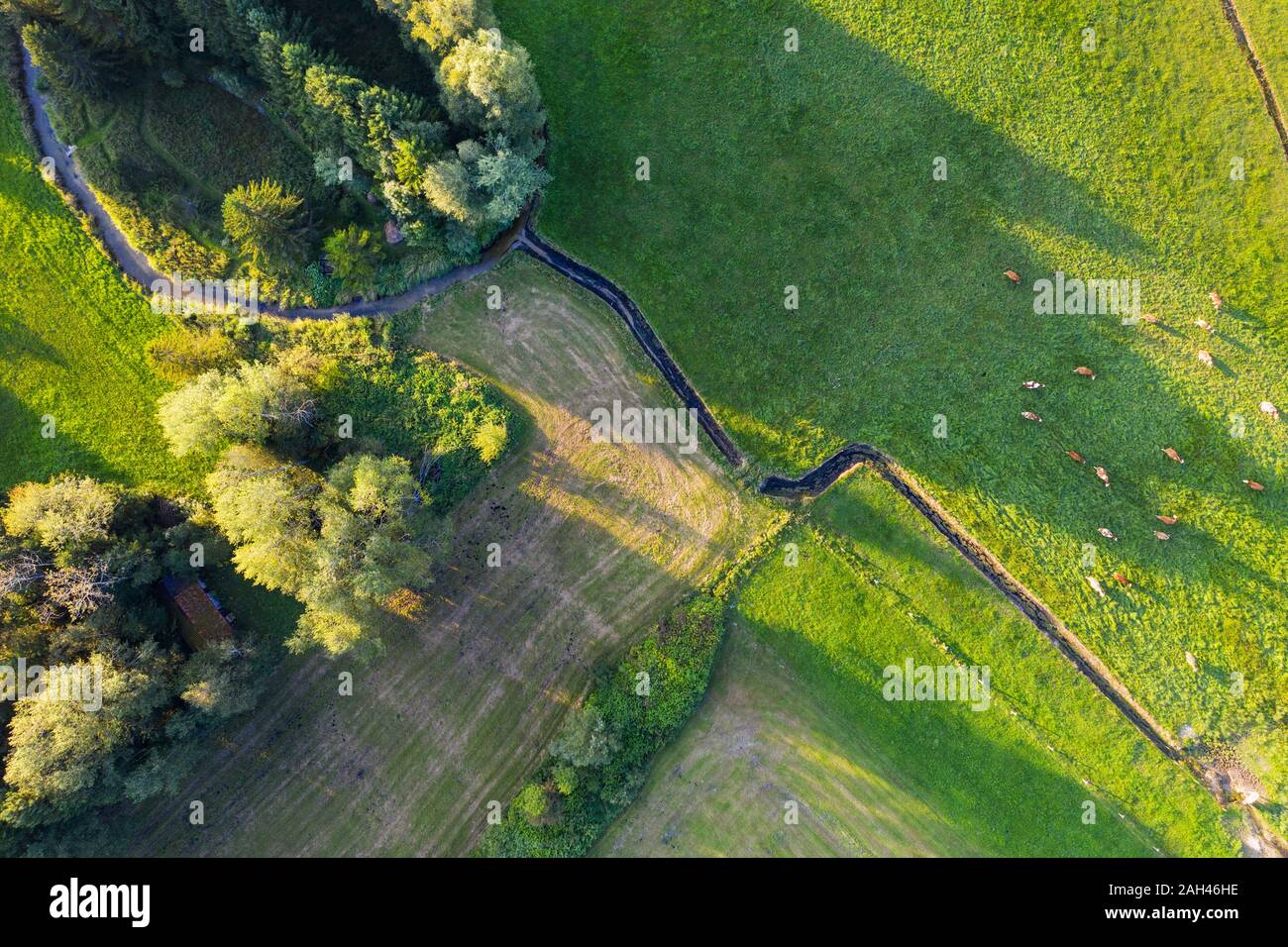 Deutschland, Bayern, Konigsdorf, Luftaufnahme der Herde Schafe grasen auf der Weide entlang Zellwieser Mühlbach Nebenfluss Stockfoto