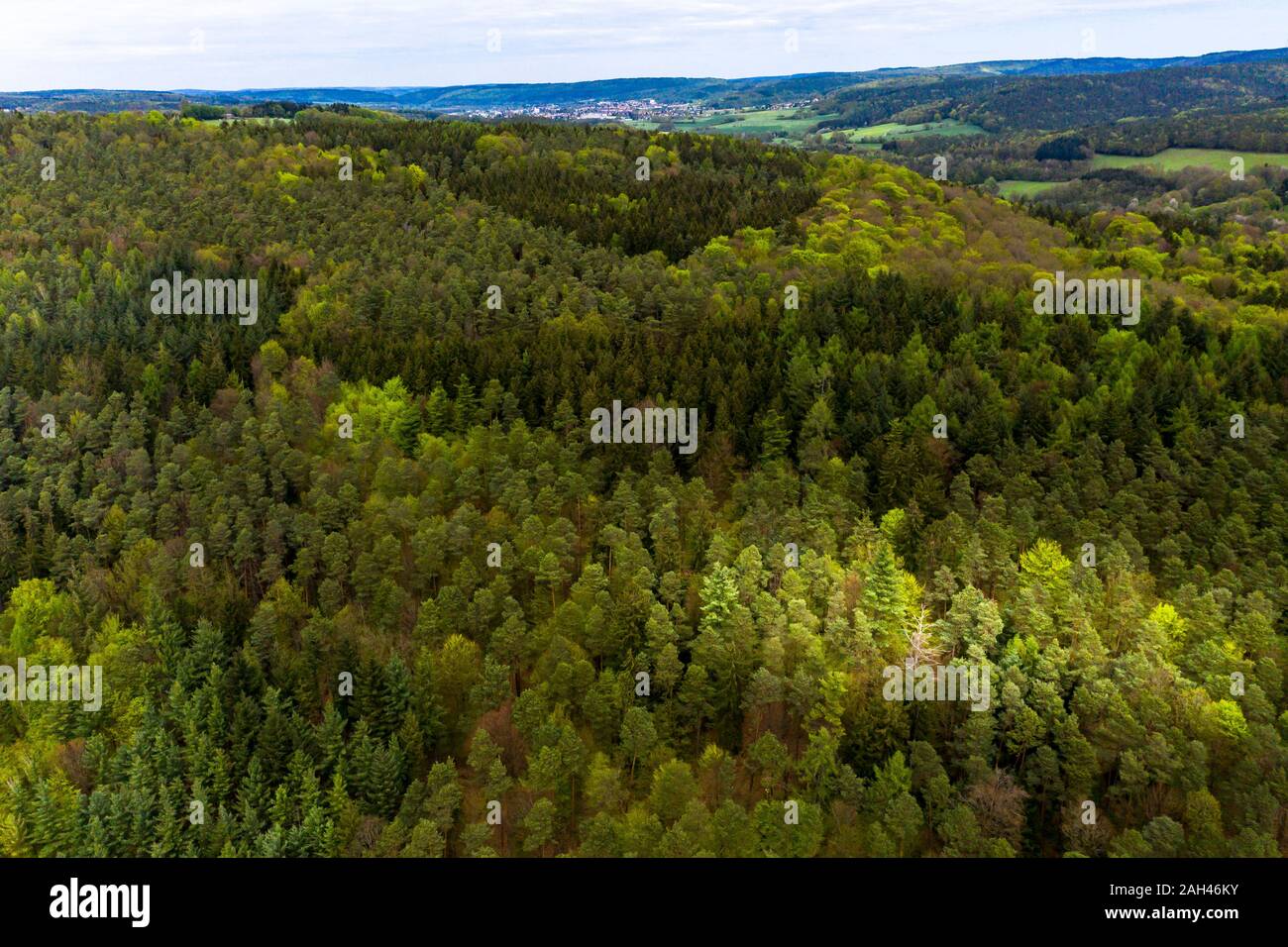 Deutschland, Hessen, Luftaufnahme von grünen üppigen Mischwald im Odenwald Stockfoto