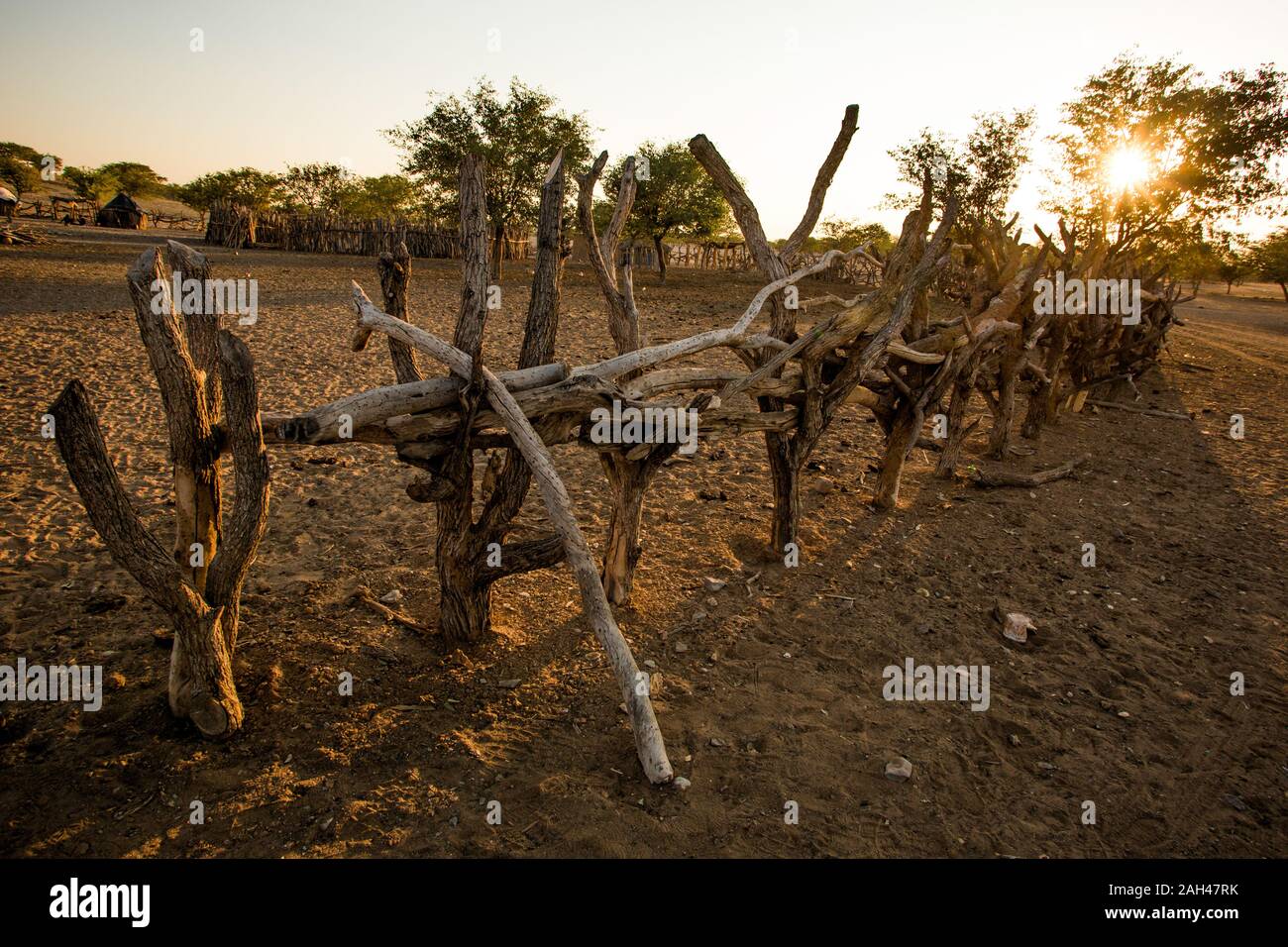 Himba Volk, Namibia - Zäune rund um das Dorf Stockfoto