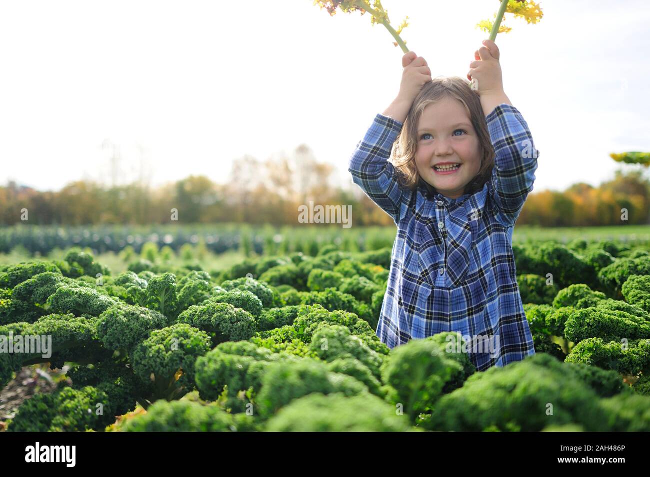 Mädchen in einem Kali Feld, Blätter als Rabbit Ears Stockfoto