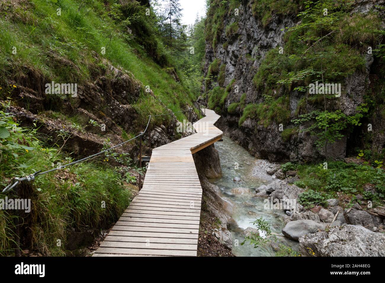 Österreich, Tirol, Erpfendorf, Promenade entlang Stream in Griesbach Schlucht Stockfoto