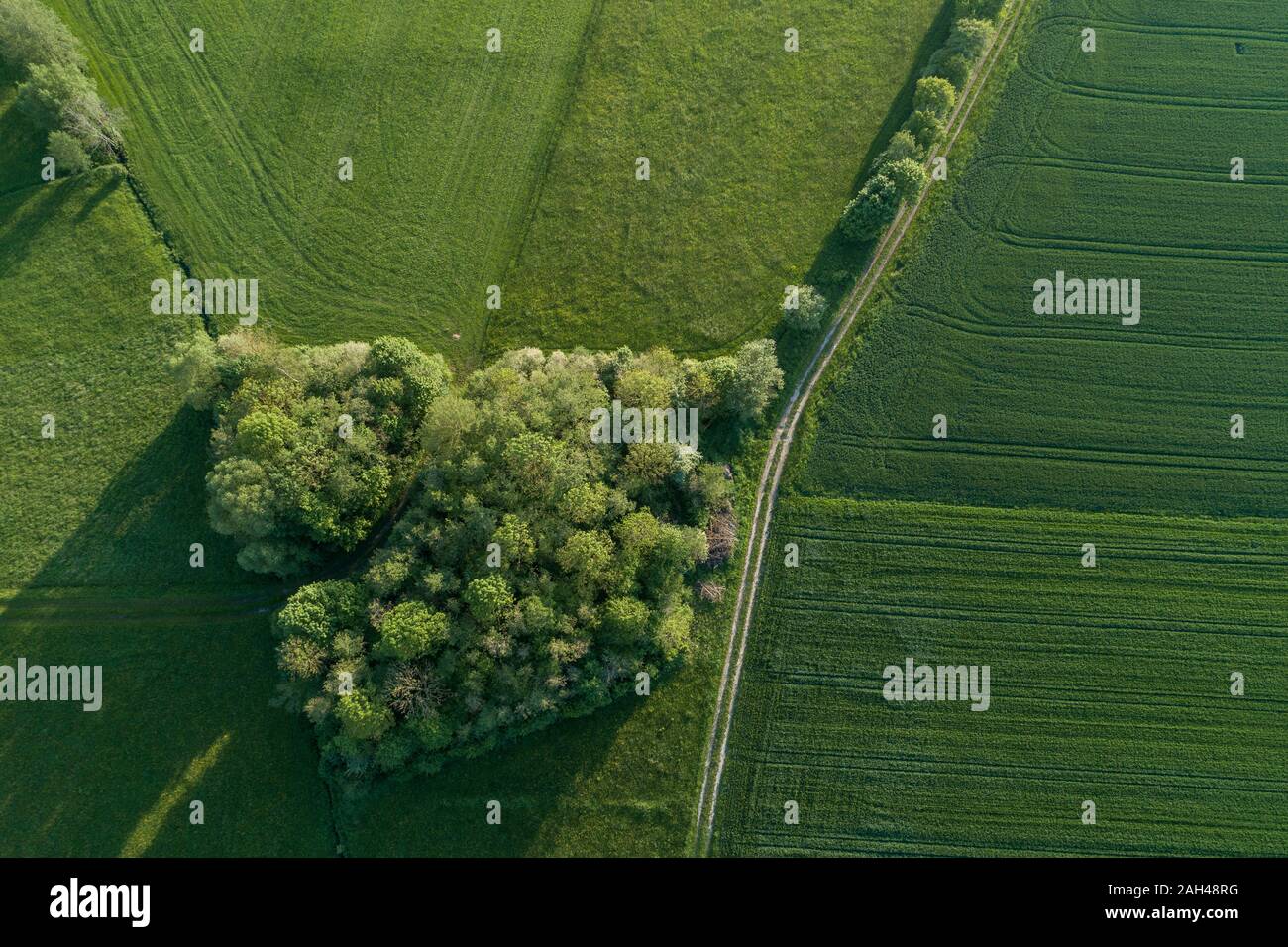 Deutschland, Bayern, Luftaufnahme von Country Road stretching zwischen kleinen Grove und grünen Felder Stockfoto