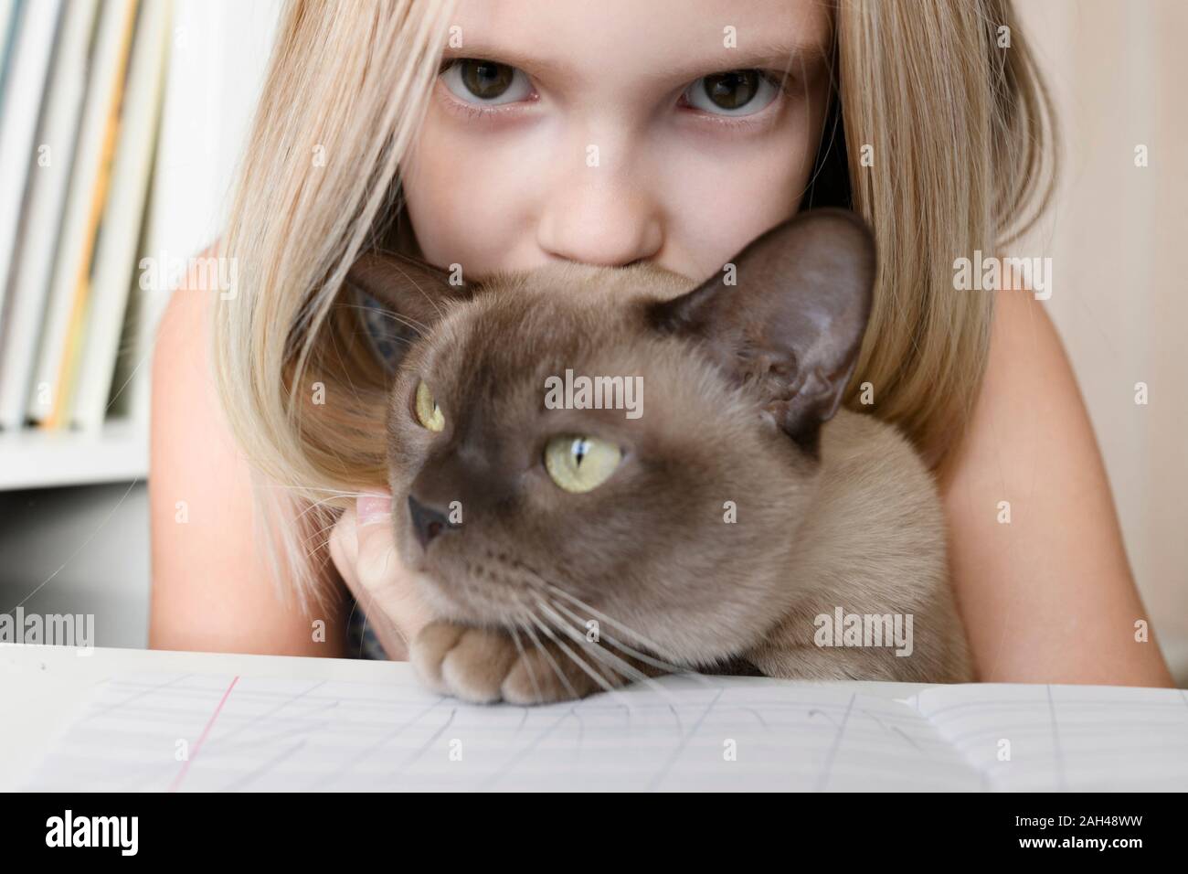 Portrait von Mädchen mit Katze zu Hause Stockfoto