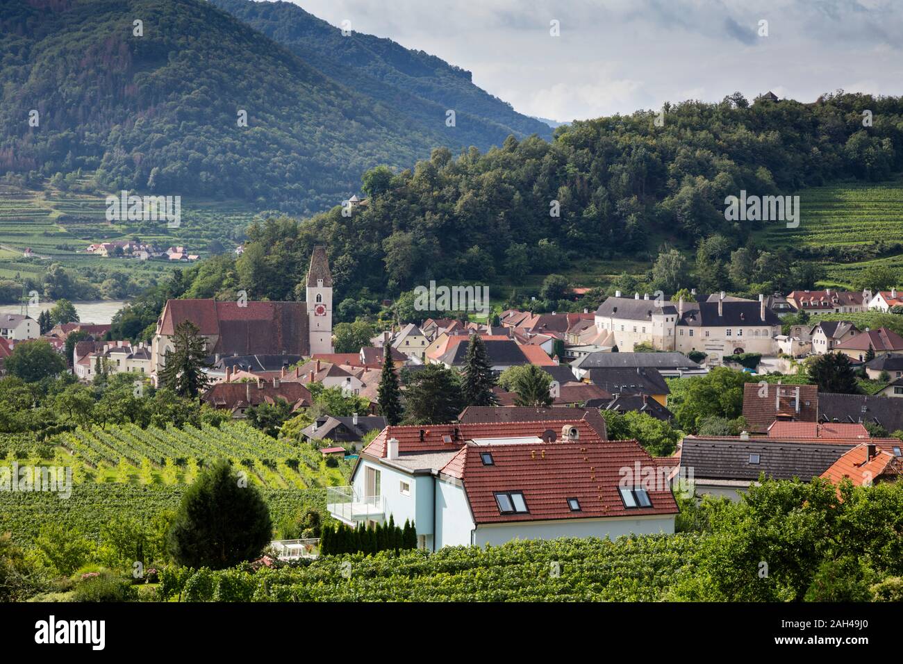 Österreich, Niederösterreich, Wachau, Spitz an der Donau, Blick auf Stadt und Landschaft Stockfoto