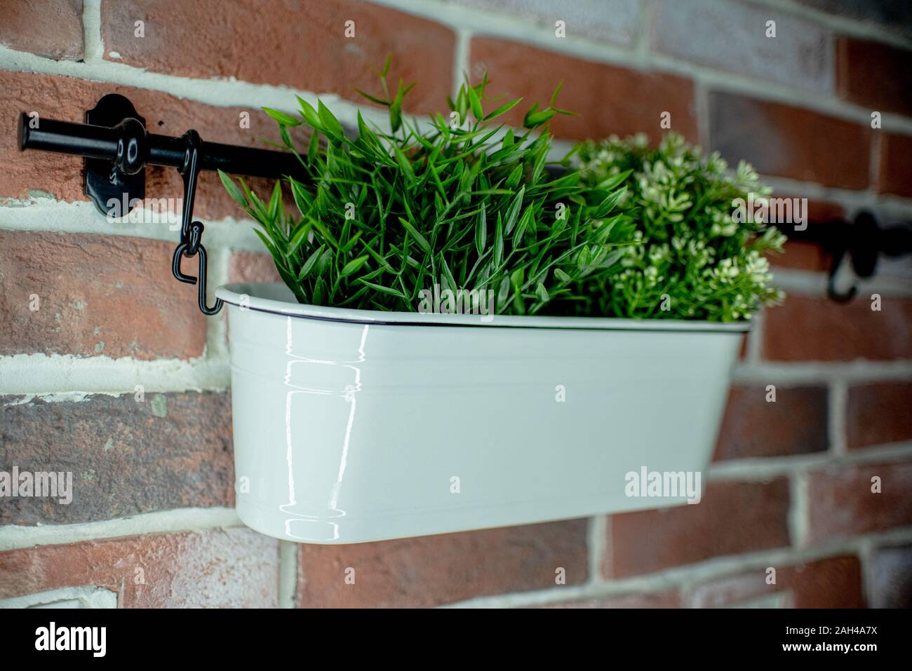 In einem keramischen Topf dekorative home Greens. In der Küche auf dem Herd Hintergrund. Kunstrasen. Innenraum der Landschaftsgestaltung. Stockfoto