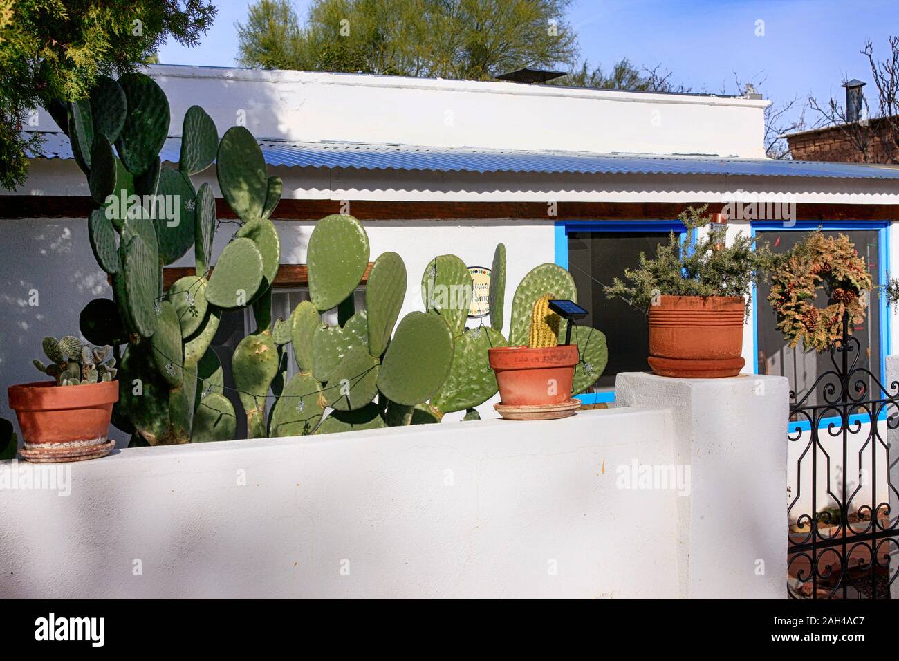 Adobe style Home mit Töpfen von Kakteen und einem barbary Abb. Kakteen wachsen im Vorgarten in Tubac, Arizona Stockfoto
