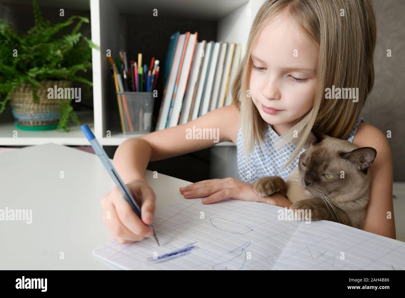 Mädchen mit Katze am Tisch zu hause Hausaufgaben sitzen Stockfoto