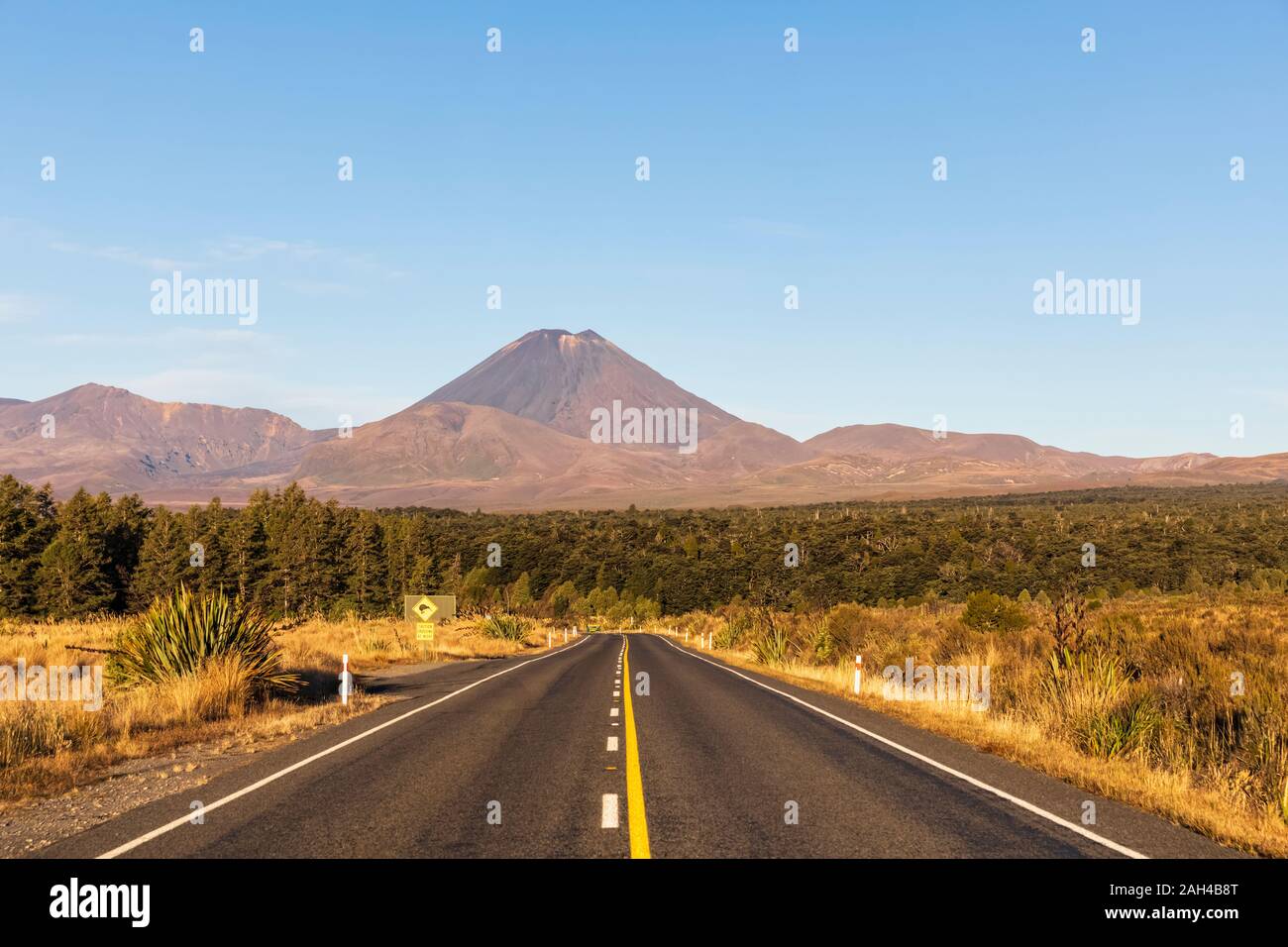 Neuseeland, Nordinsel, sinkende Perspektive des State Highway 48 mit Ngauruhoe im Hintergrund drohenden Stockfoto