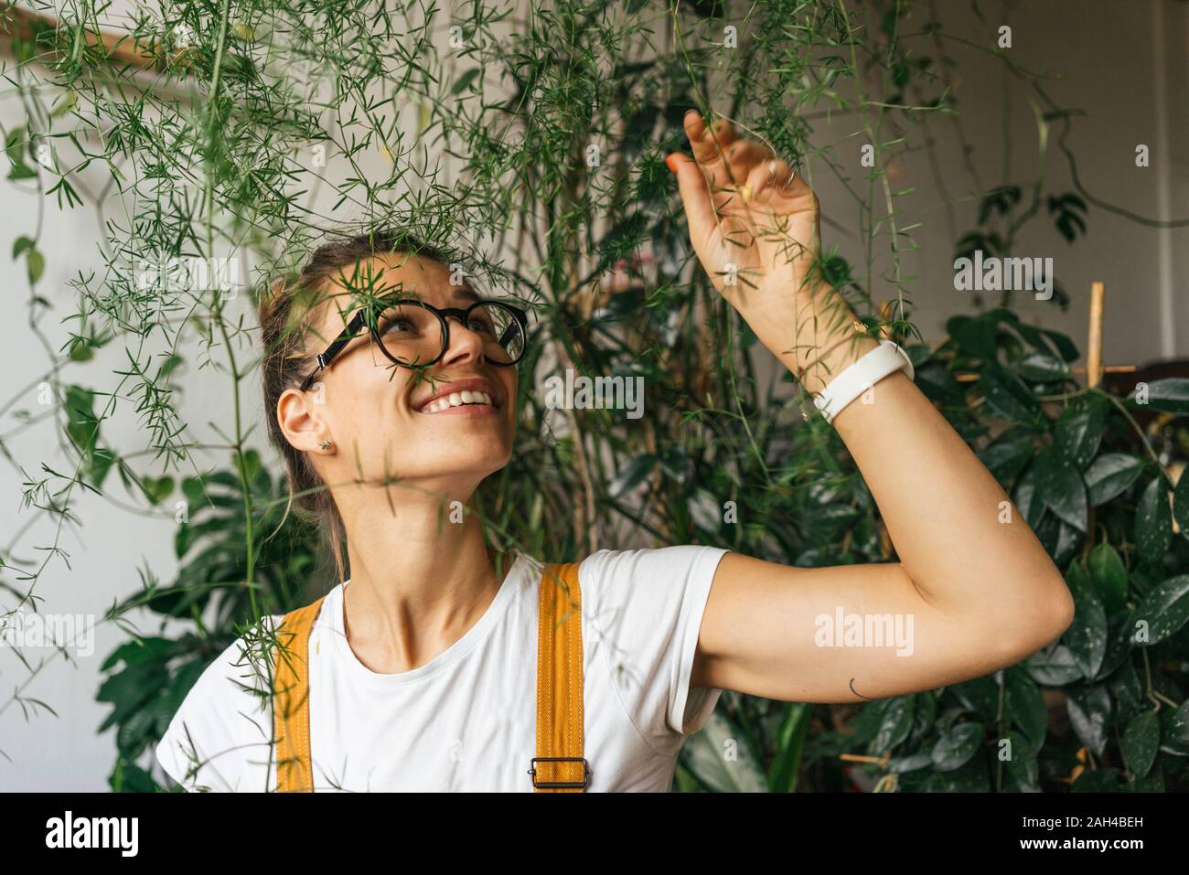 Glückliche junge Frau Pflege für Pflanzen Stockfoto