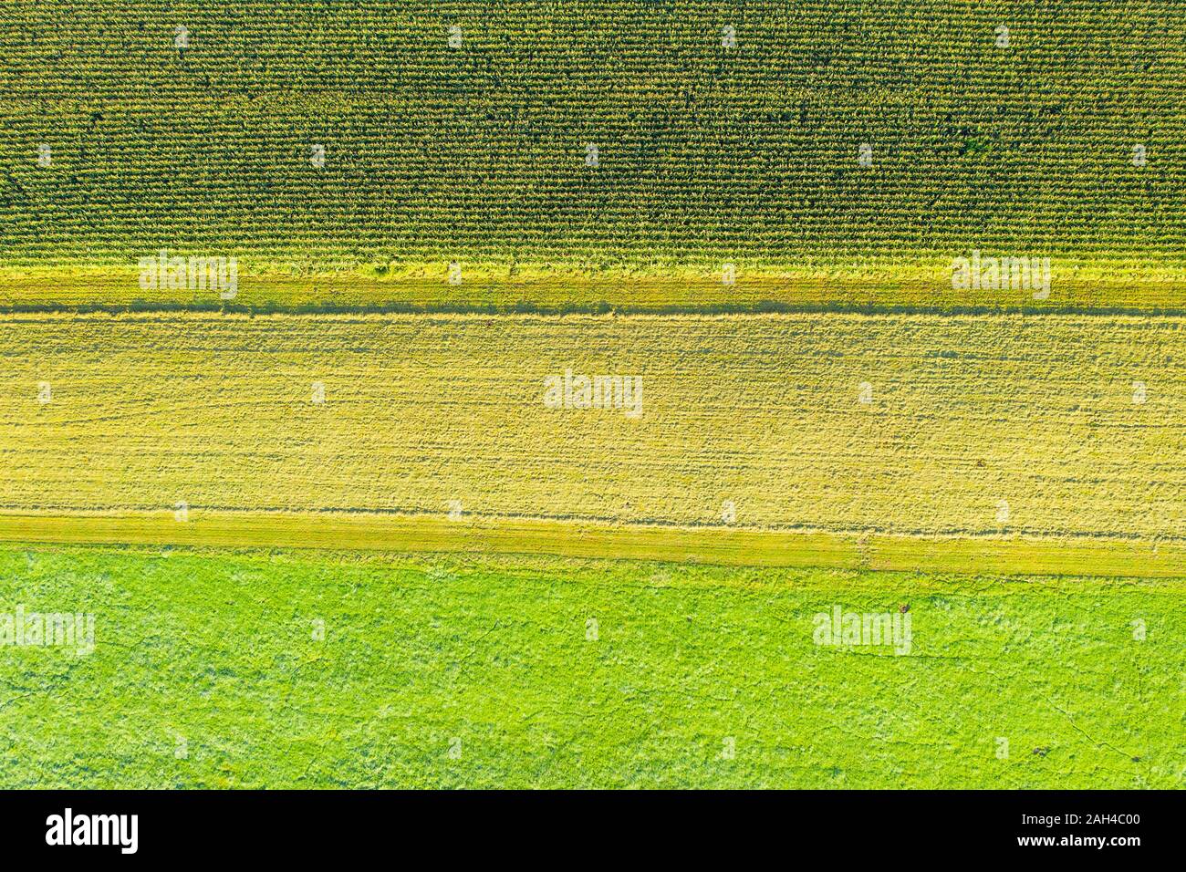 Deutschland, Bayern, Oberbayern, Luftaufnahme von grünen Feldern Stockfoto